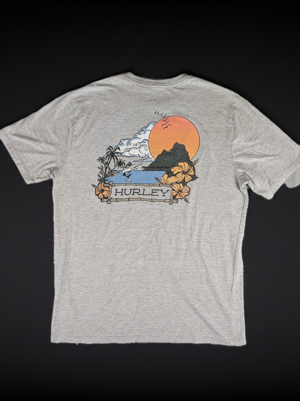 Hurley Fish Enjoy Graphic Logo‎ Men's M T-Shirt Grey